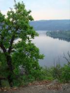 Resize of DSC02056.JPG